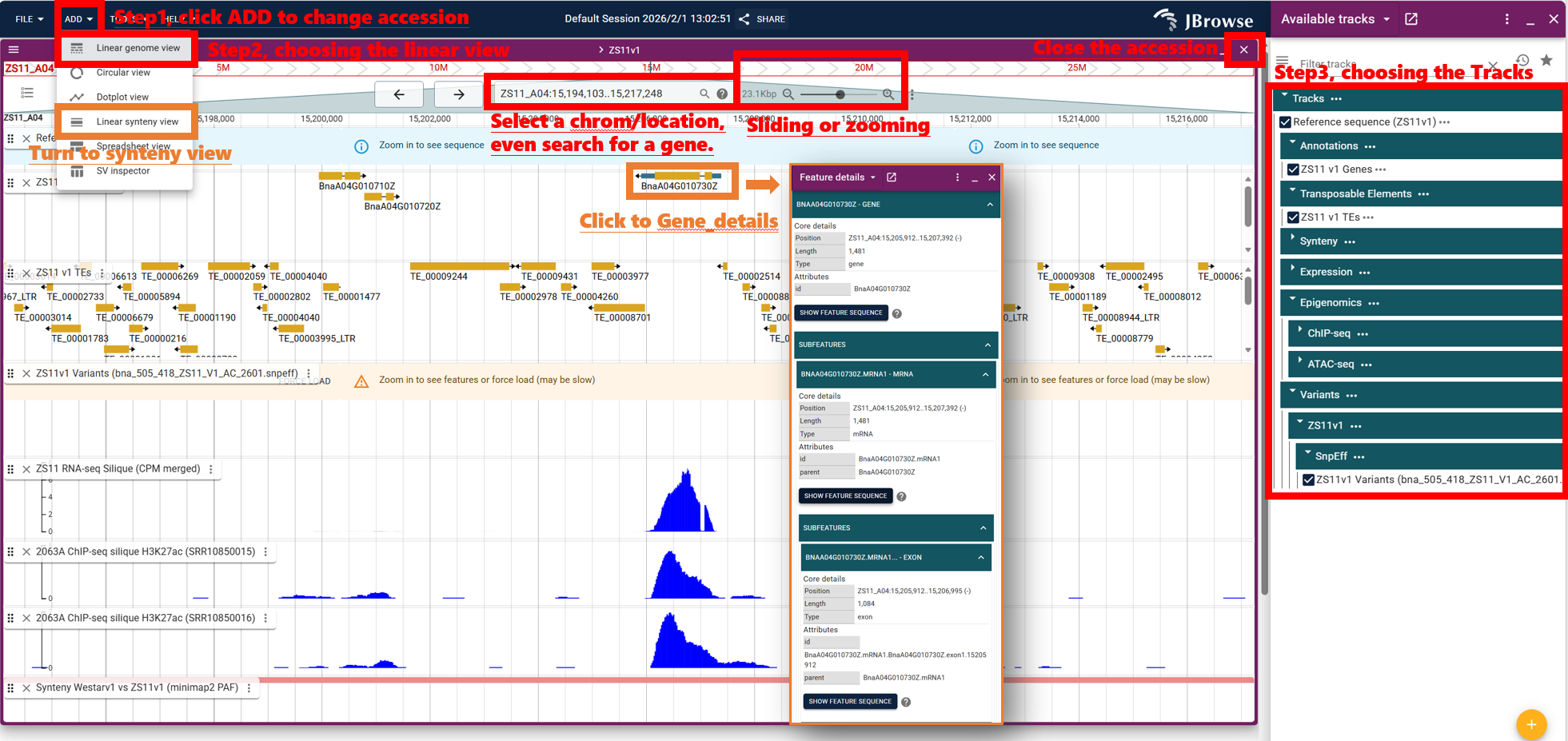 JBrowse2 quick start tutorial